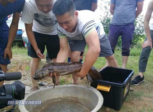 钓保护动物拍照放生，一场生态与文化的交融之旅