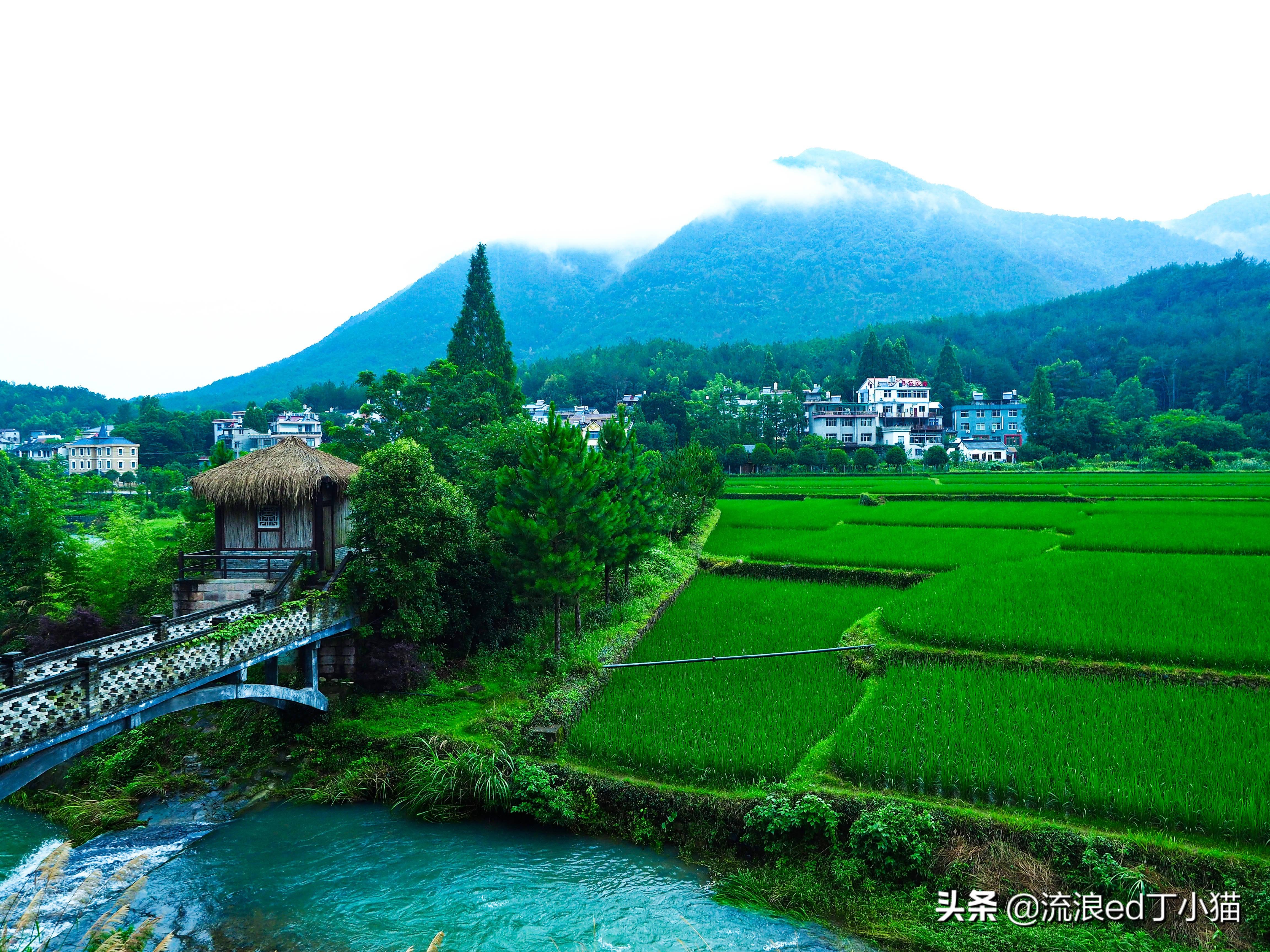 灵隐寺，人海如潮，禅意盎然