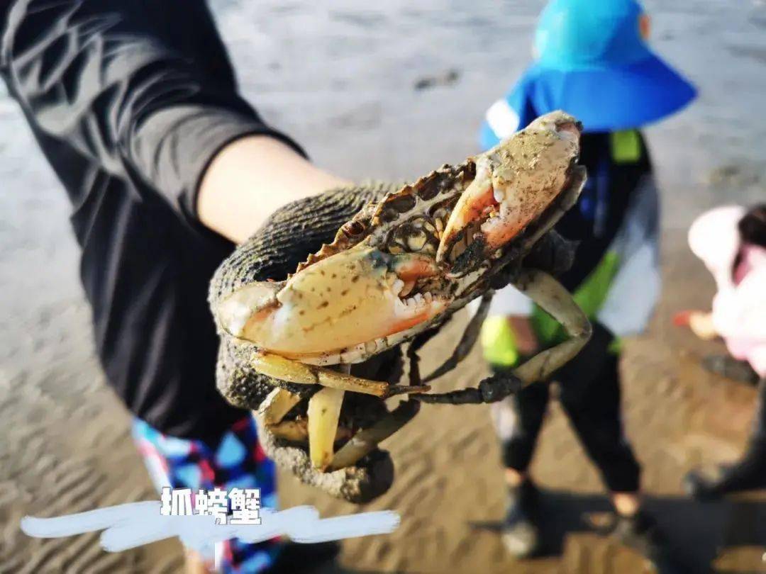 赶海现抓，海鲜盛宴——一场味蕾与大海的亲密接触