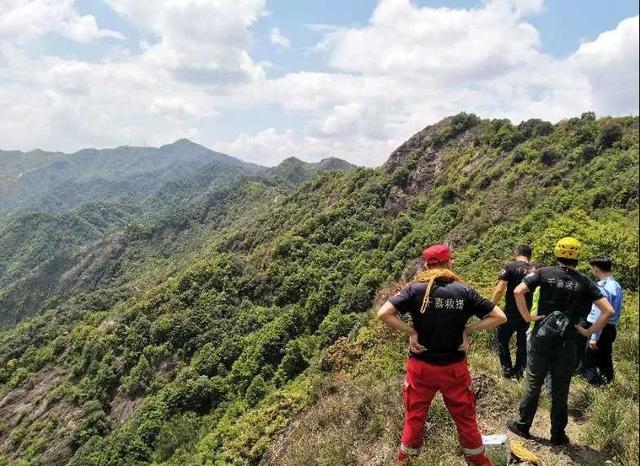 张家界悲剧揭秘，女教师徒步坠崖身亡背后的深度解析