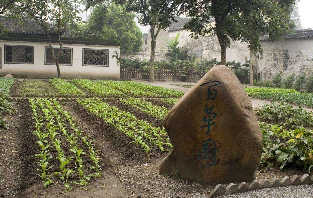 震惊！百草园地下竟藏千年秘密，战国遗迹惊现引发考古界大地震！